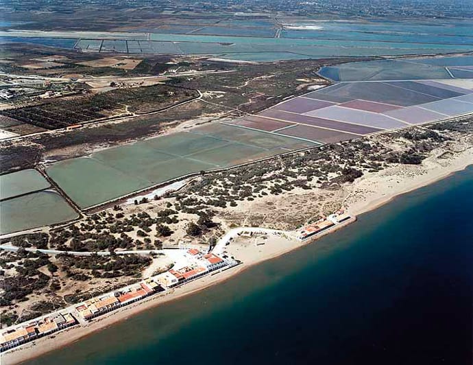 alicante-elche-el-pinet-01