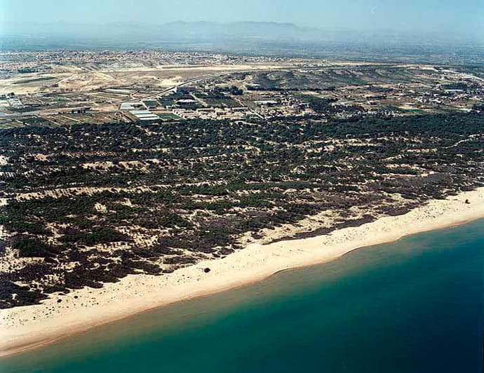 alicante-guardamar-los-tusales-01