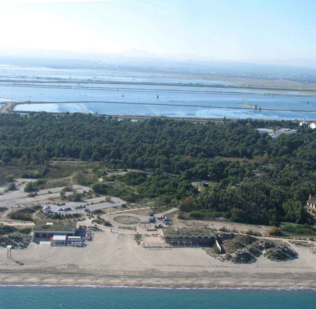 valencia-el-saler-01